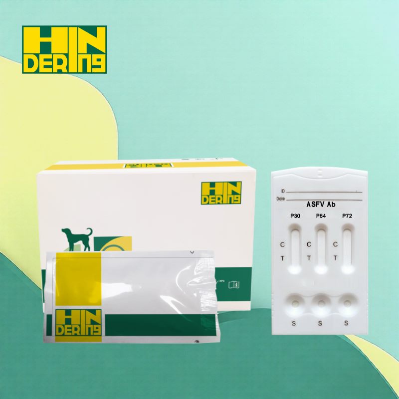 African Swine Fever Virüs P30/P54/P72 Ab Kombo Hızlı Testi